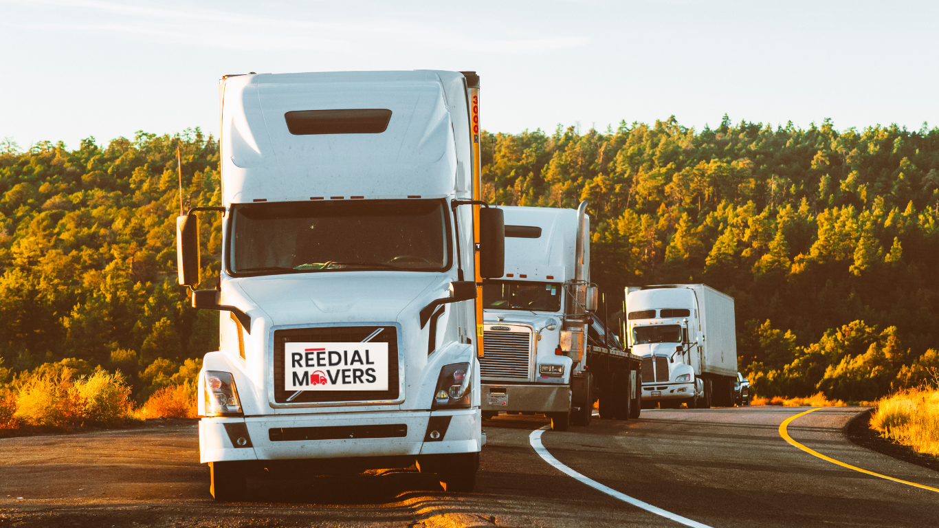 How to Choose the Best Packers and Movers